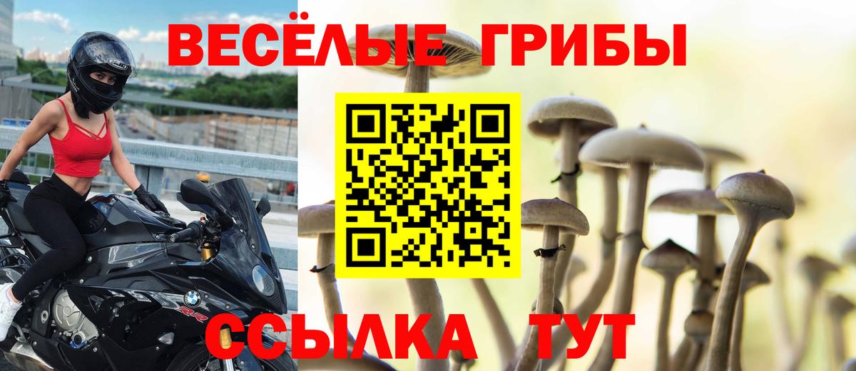 Егорьевск  Псилоцибиновые грибы Cubensis  Галлюциногенные грибы ЛСД  Вход с VPN 